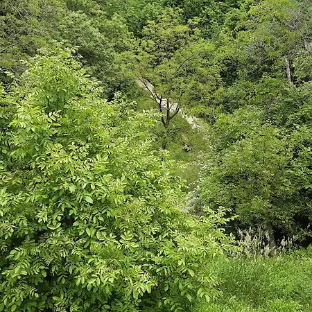 Frühstückspension Isabella 4*